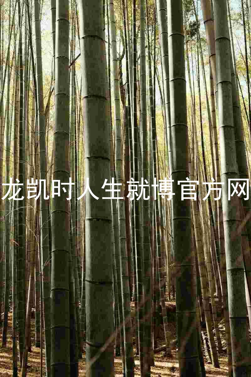 尊龙凯时人生就博官方网站