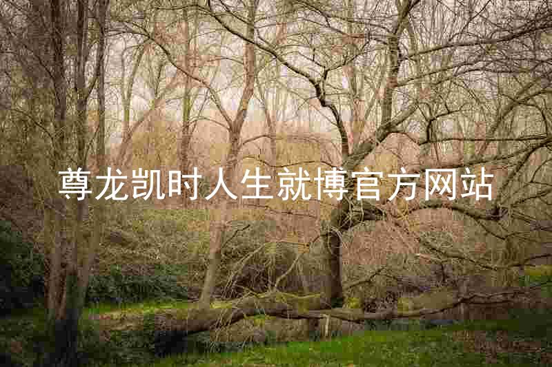 尊龙凯时人生就博官方网站