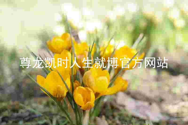 尊龙凯时人生就博官方网站