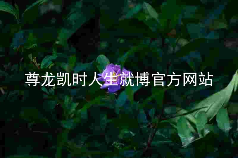 尊龙凯时人生就博官方网站