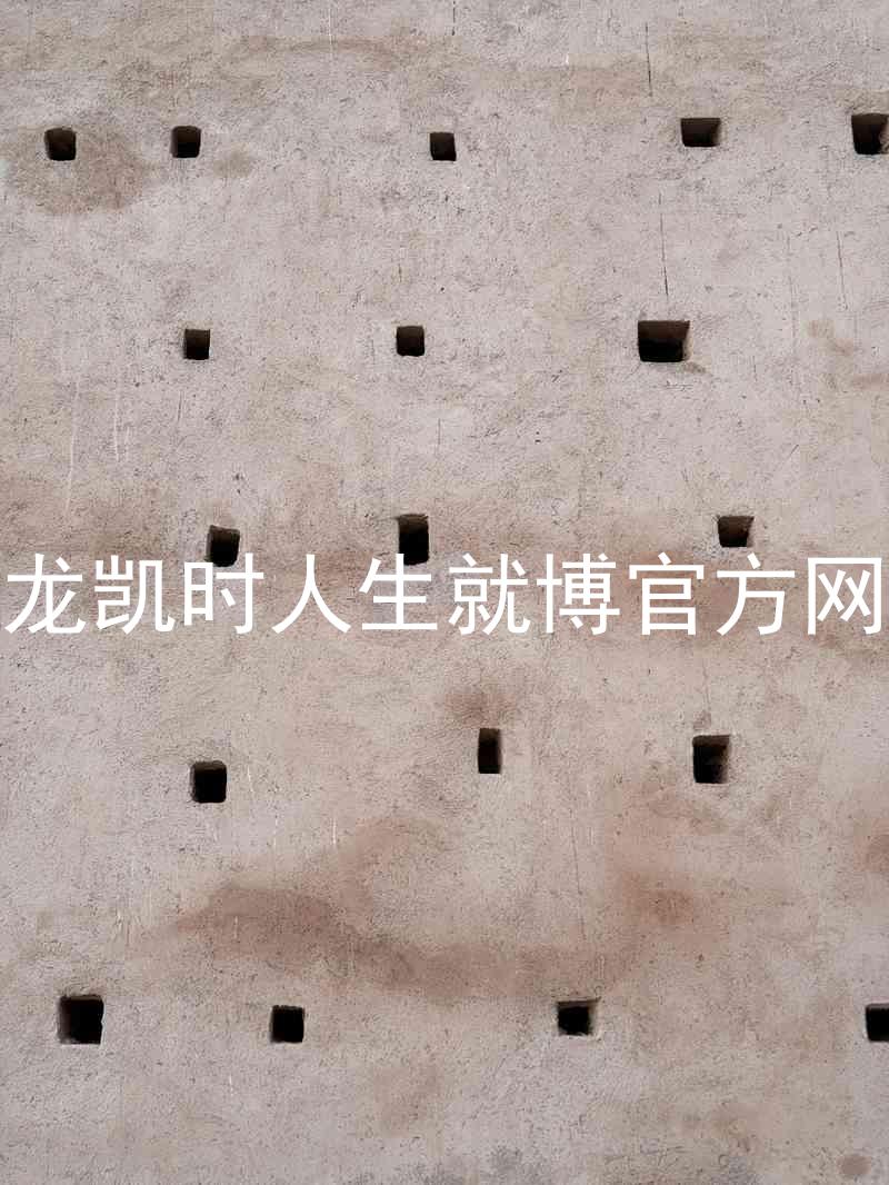 尊龙凯时人生就博官方网站