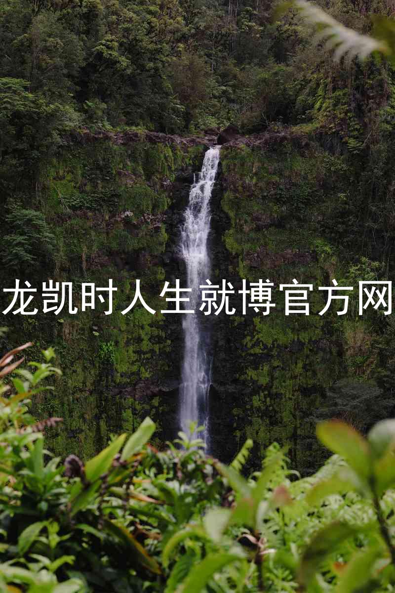 尊龙凯时人生就博官方网站